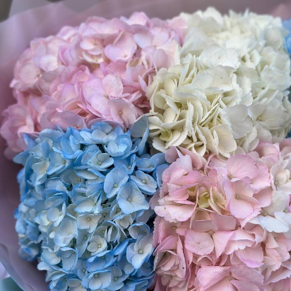https://content3.flowwow-images.com/data/flowers/1000x1000/53/1695627107_9788253.jpg
